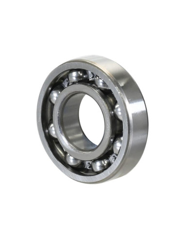 Sparex Rodamiento de Bola (6309)