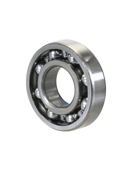 Sparex Rodamiento de Bola (6309)