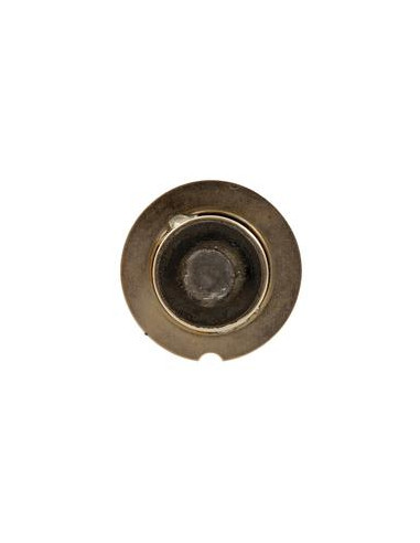 Bombilla (Filamento), 12V, 36W, P22s