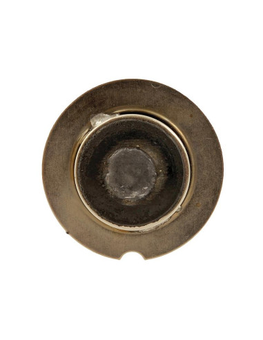 Bombilla (Filamento), 12V, 36W, P22s