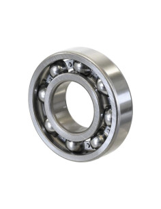 Sparex Rodamiento de Bola (6310)