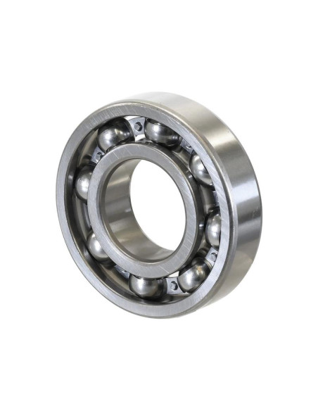 Sparex Rodamiento de Bola (6310)