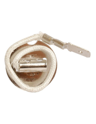 Bombilla (Halógeno), 12V, 100W, PK22s