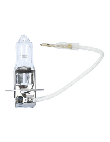 Bombilla (Halógeno), 12V, 100W, PK22s