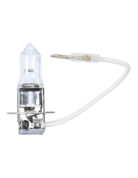 Bombilla (Halógeno), 12V, 100W, PK22s