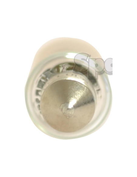 Bombilla (Halógeno), 12V, 18W, SV8.5