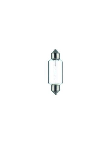 Bombilla (Halógeno), 12V, 21W, SV8.5-8