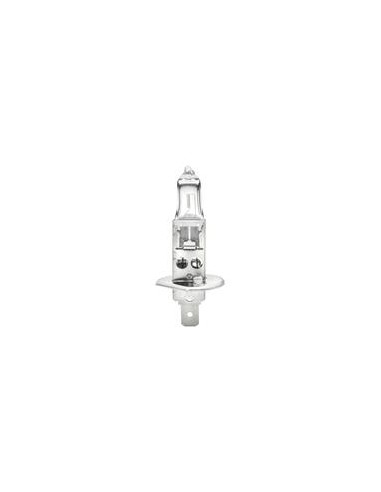 Bombilla (Halógeno), 12V, 55W, P14.5s