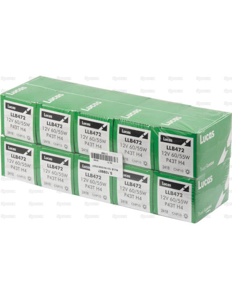 Bombilla (Halógeno), 12V, 55W, P43t