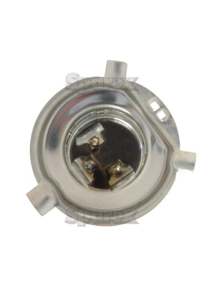 Bombilla (Halógeno), 12V, 55W, P43t