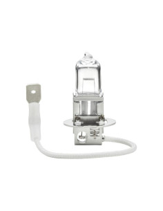 Bombilla (Halógeno), 12V, 55W, PK22s 2