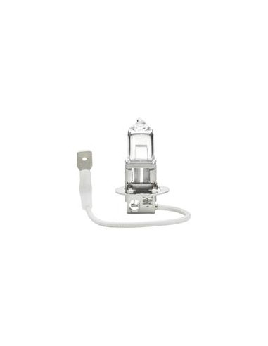 Bombilla (Halógeno), 12V, 55W, PK22s