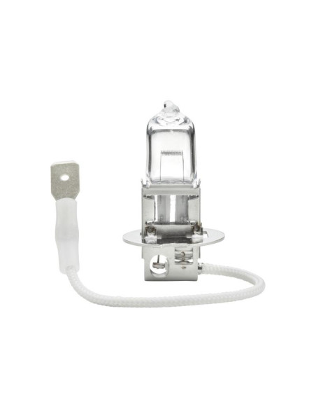 Bombilla (Halógeno), 12V, 55W, PK22s