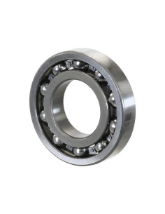 Sparex Rodamiento de Bola (RLS16)