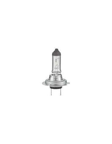 Bombilla (Halógeno), 12V, 55W, PX26d