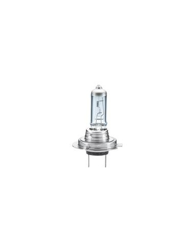 Bombilla (Halógeno), 12V, 55W, PX26d