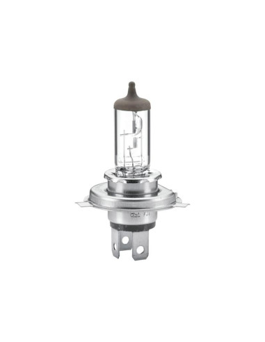 Bombilla (Halógeno), 12V, 60/55W, P43t