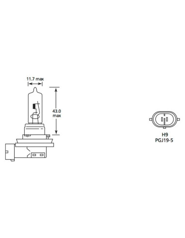 Bombilla (Halógeno), 12V, 65W, PGJ19-5