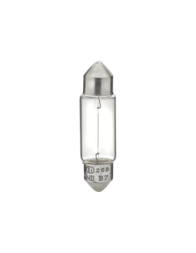 Bombilla (Halógeno), 24V, 5W, SV8.5-8