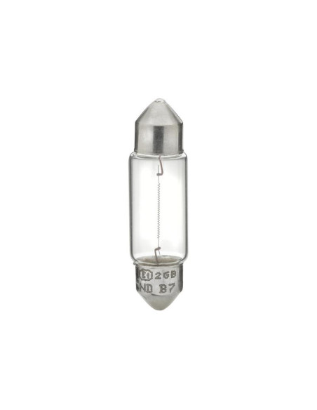 Bombilla (Halógeno), 24V, 5W, SV8.5-8