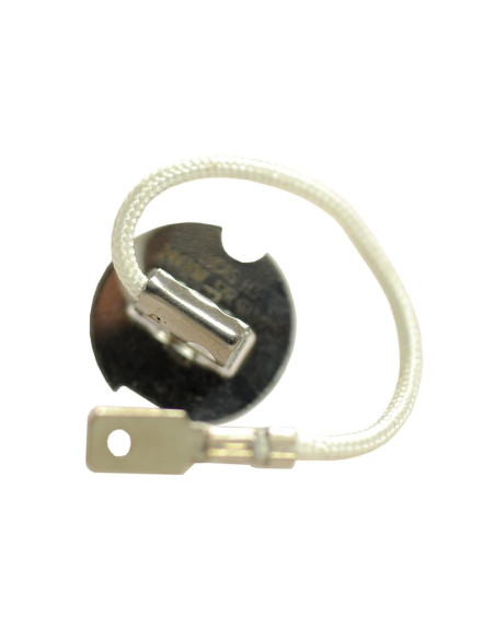 Bombilla (Halógeno), 24V, 70W, PK22s