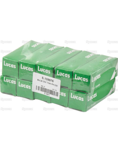 Bombilla (Halógeno), 24V, 70W, PK22s