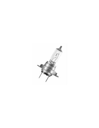 Bombilla (Halógeno), 24V, 70W, PX26d