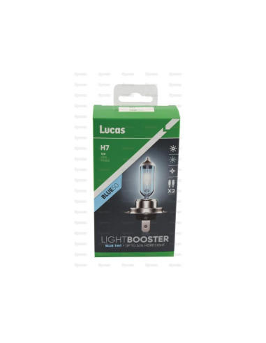 Halogen Lightbooster Blue50 Head Light, Head...