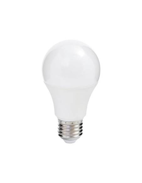 LED Bulb (LED), 230V, 10W, E27
