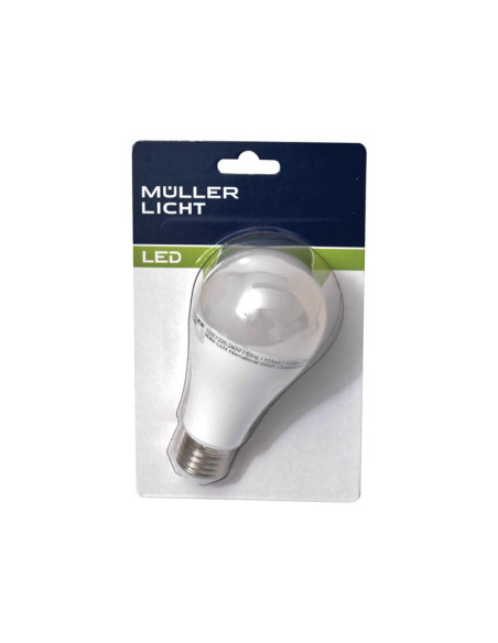 LED Bulb (LED), 230V, 10W, E27