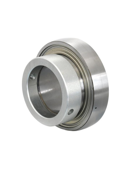 NTN SNR Rodamiento Suelto (ES210)