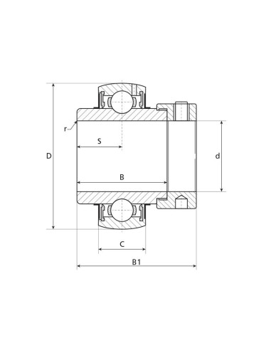 NTN SNR Rodamiento Suelto (EX209)