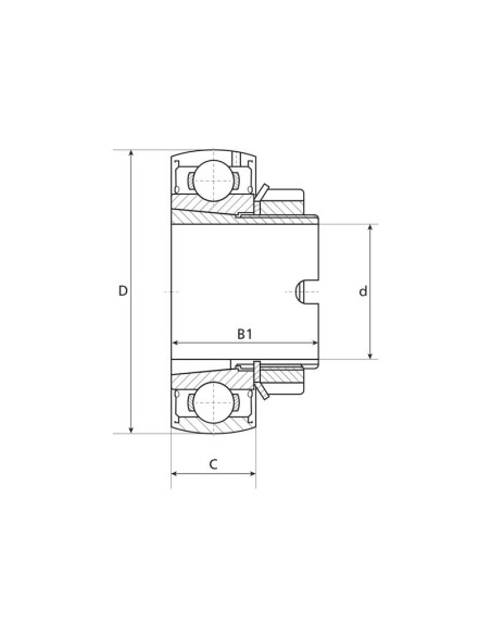 NTN SNR Rodamiento Suelto (LK206G2H)