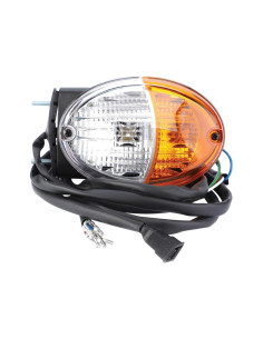 Piloto Combinado Delantero Halógeno (Dcho.) 2