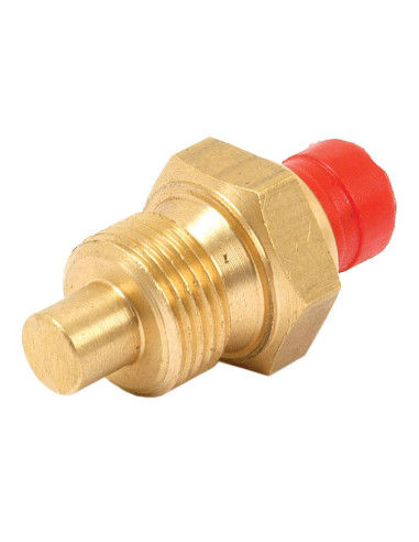 Interruptor Sensor De Temperatura Agua