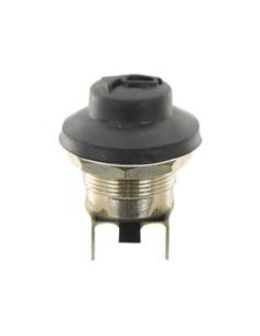 Interruptor con pulsador