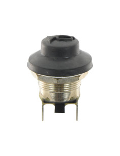 Interruptor con pulsador 2