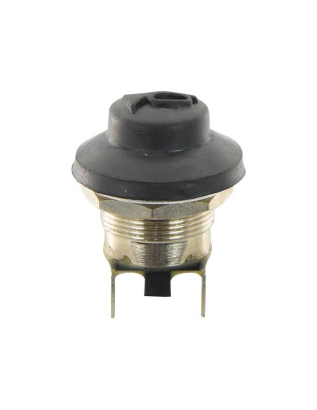 Interruptor con pulsador