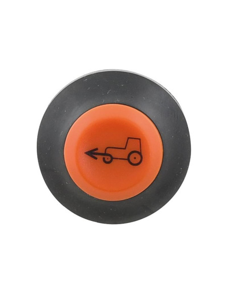 Interruptor con pulsador