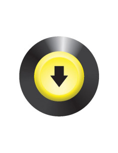 Interruptor Elevador 2