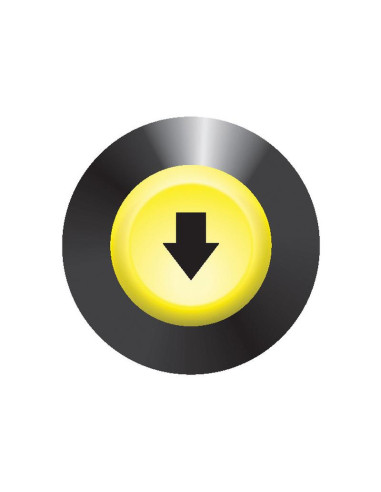 Interruptor Elevador