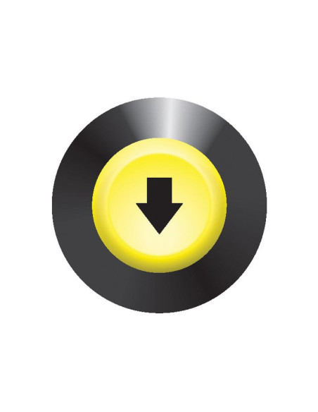 Interruptor Elevador