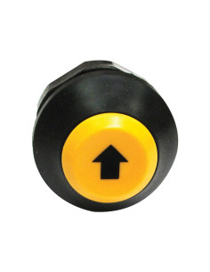 Interruptor Elevador 2