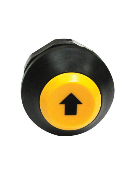 Interruptor Elevador