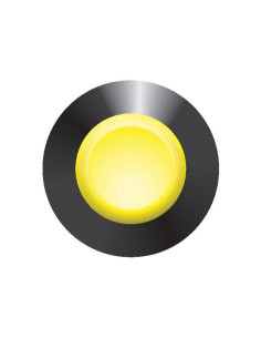 Interruptor Estabilizador Trasero 2