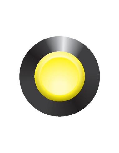 Interruptor Estabilizador Trasero