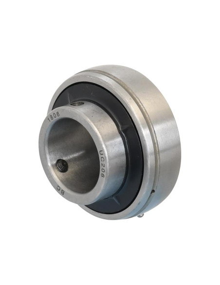 Sparex Plummer Block Bearing Insert (UC206) (Blister 1 pza.)