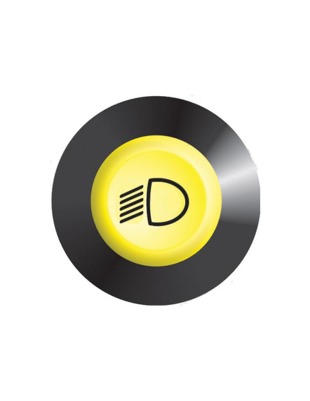 Interruptor Faro Trabajo Delantero