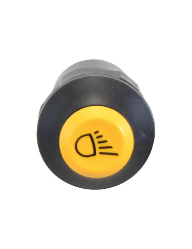 Interruptor Faro Trabajo Delantero