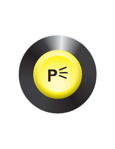 Interruptor Luces Estacionamiento